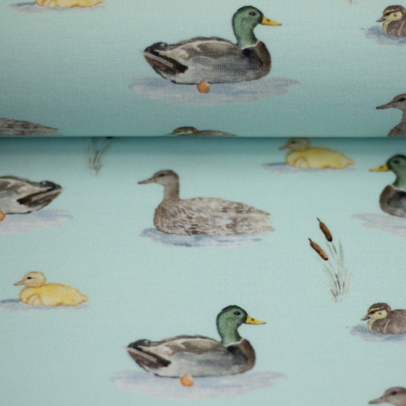 Jersey - Pond Life - by Christiane Zielinski -  Enten